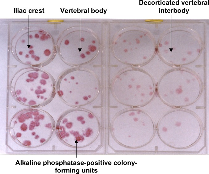 Fig. 2