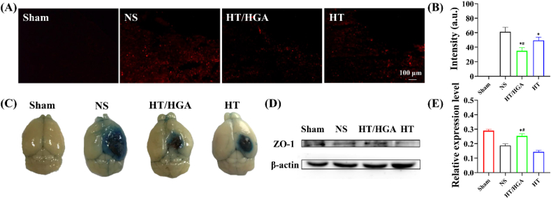 Fig. 6