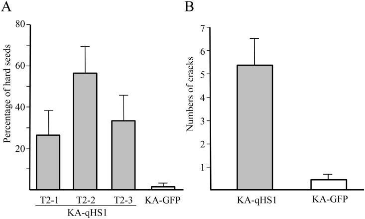 Fig 6