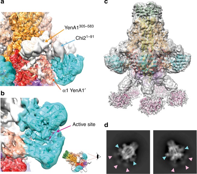 Fig. 2