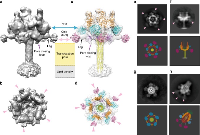 Fig. 4