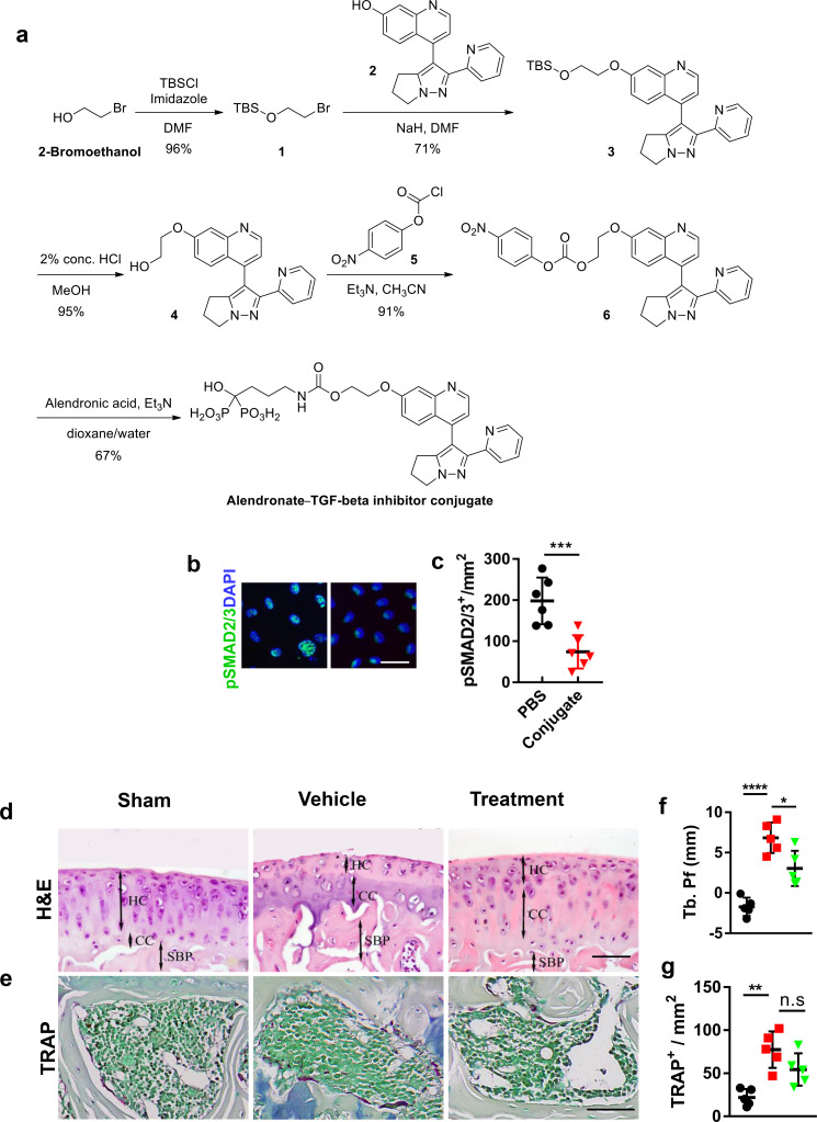 Figure 6—figure supplement 3.