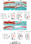 Figure 2—figure supplement 1.