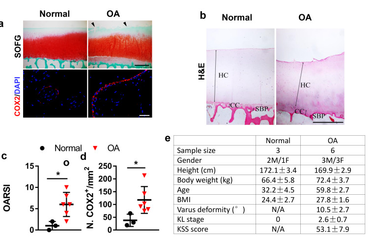 Figure 6—figure supplement 2.