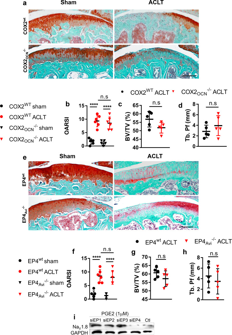 Figure 2—figure supplement 1.