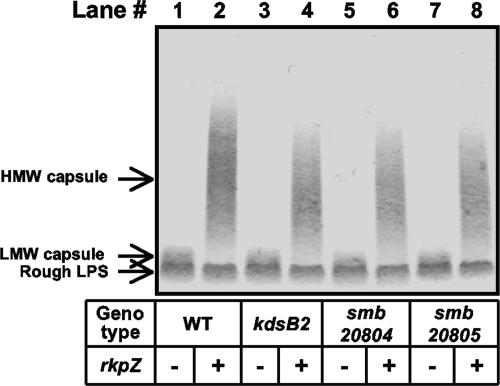 FIG. 6.