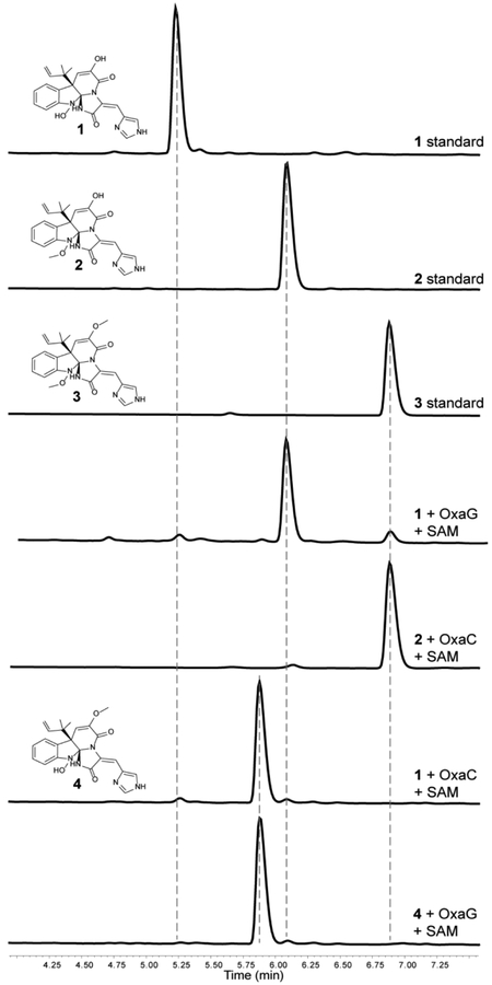 Fig. 3.