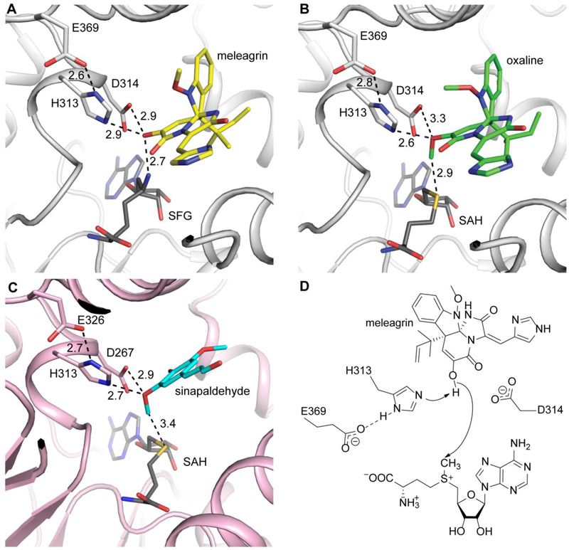 Fig. 7.