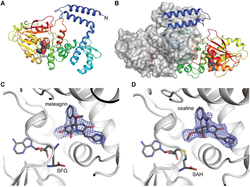 Fig. 6.