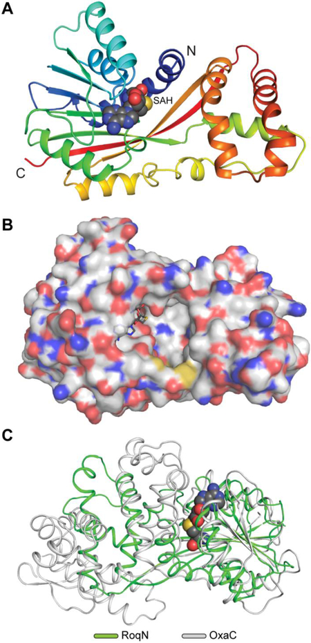 Fig. 4.