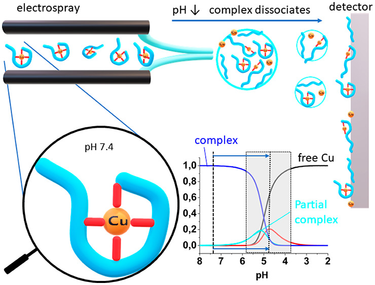 graphic file with name js1c00206_0009.jpg