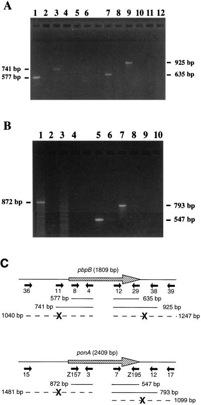 FIG. 1