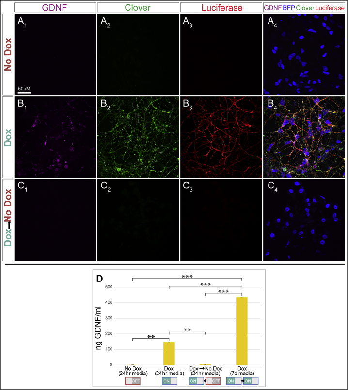 Figure 2