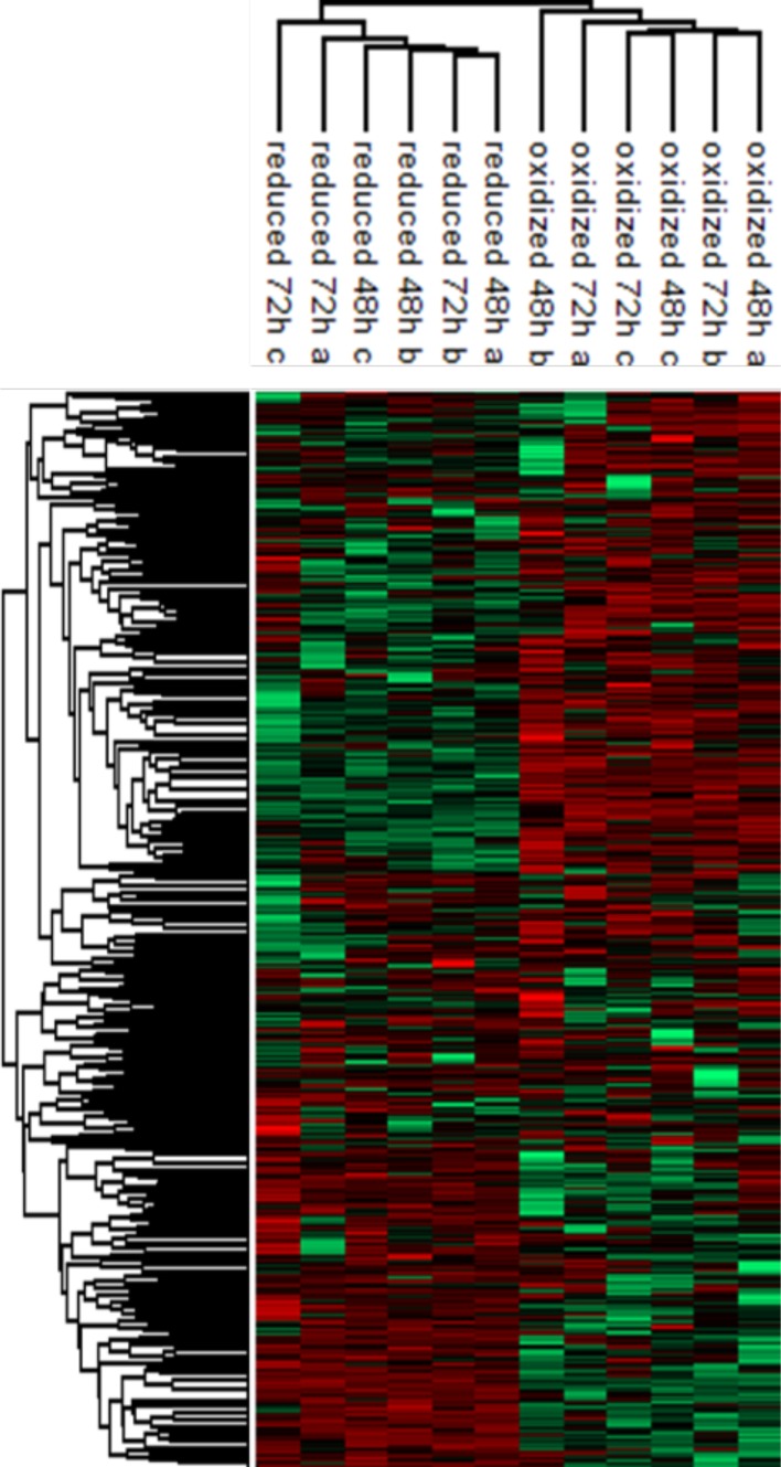 Figure 6—figure supplement 2.