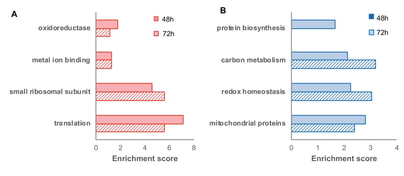 Figure 6—figure supplement 3.