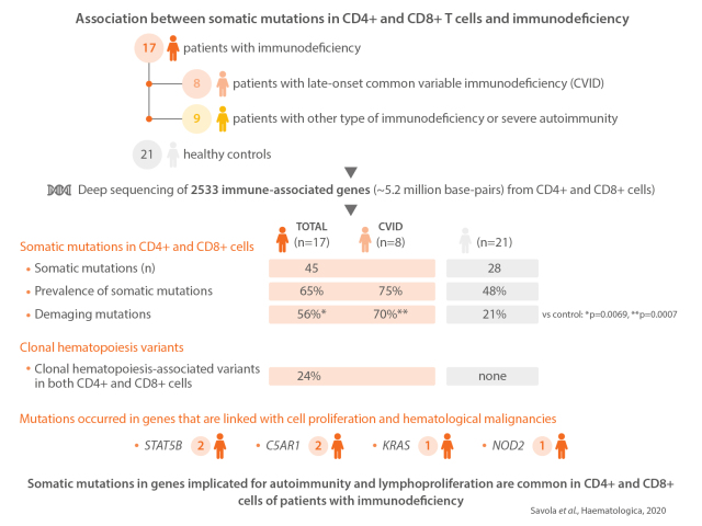 Graphical Abstract