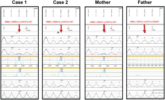 Figure 2.