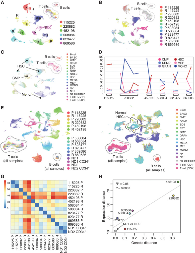 Figure 2. Overview of intersample relationships among diverse presentation and relapse AMLs. A, All-sample Uniform Manifold Approximation and Projection (UMAP) colored by unique patient number (UPN; patient) with presentation (P) and relapse (R) samples indicated. B, Mutation-containing cells colored by sample of origin. C, Cells colored by nearest normal inferred lineage using singleR and the DMAP database. D, Lineage shifts between time points, showing those lineages that comprise more than 5% of the cells in at least one sample. Differentiated monocyte-like cells (dark blue) were consistently anticorrelated with HSC-like cells (dark red). E, UMAP representation of cells from 12 AML samples and 4 normal bone marrow samples, colored by sample. F, UMAP from E, with cells colored by nearest normal hematopoietic lineage. G, Pairwise expression distances among all sample pairs (Wasserstein metric computed on the first 10 principal components). H, Relationship between genetic and transcriptional evolution: Expression distance between P and R samples for each patient (vertical axis) are plotted against the genetic distance between P and R samples for each patient (horizontal axis). Normal donors were excluded from the regression calculation. BASO, basophil; DEND, dendritic cell; EOS, eosinophil; ERY, erythrocyte; GMP, granulocyte–monocyte progenitor; GRAN, granulocyte; MEGA, megakaryocyte; MEP, megakaryocyte–erythroid progenitor; MONO, monocyte; ND, normal donor; NKT, natural killer T cell.