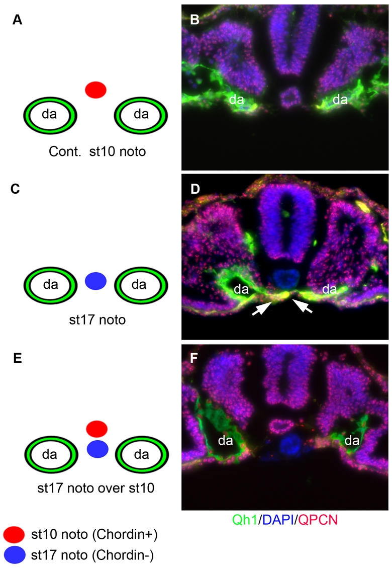 Fig. 8.