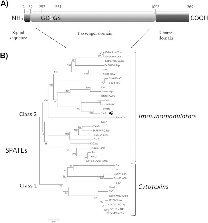 FIG 2