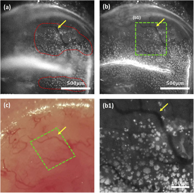 Fig. 3.