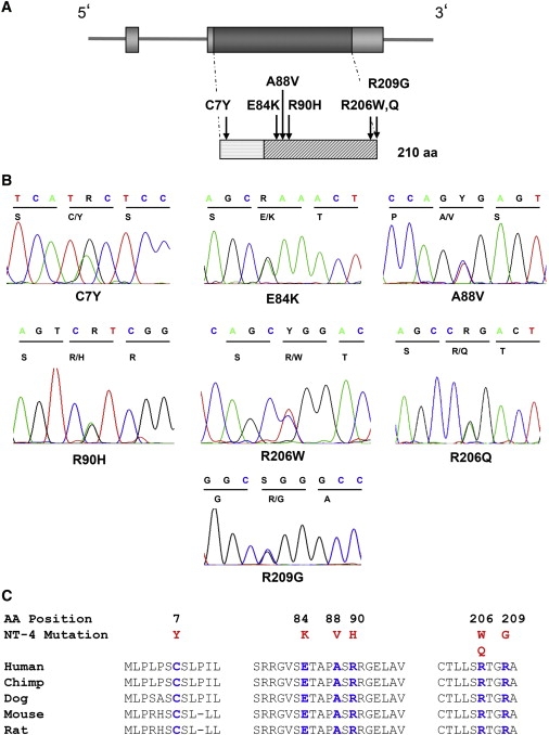 Figure 1