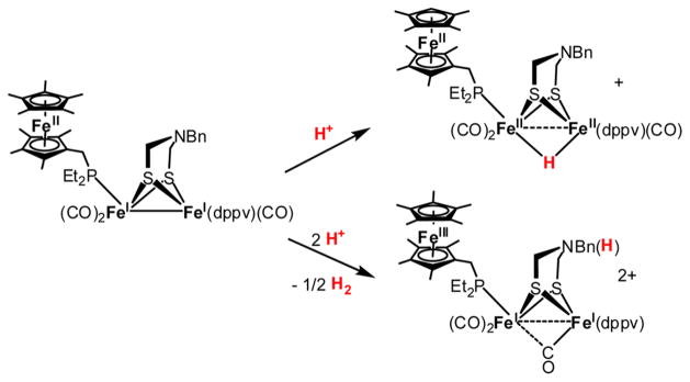 Scheme 6