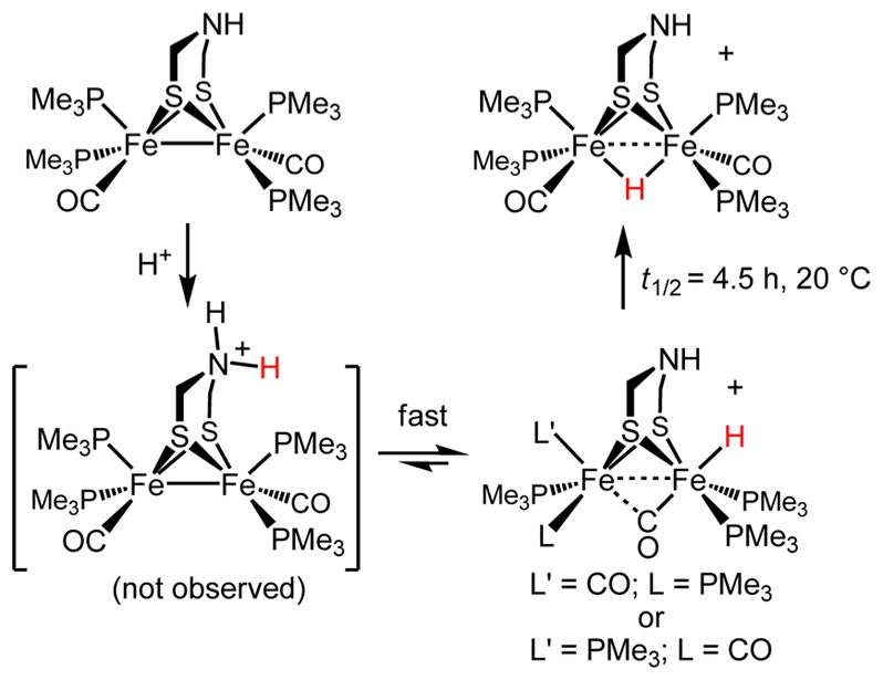 Scheme 3