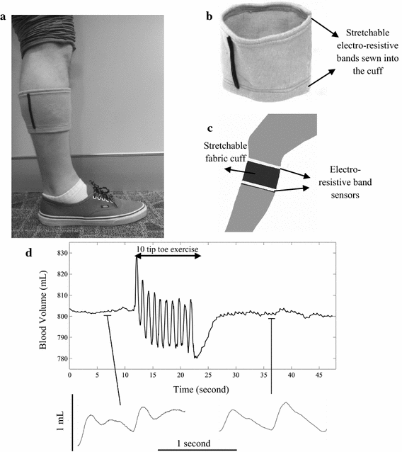 Fig. 4