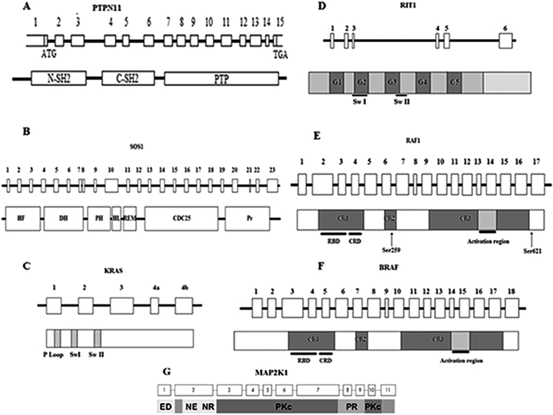 Figure 1