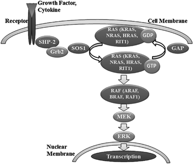 Figure 2