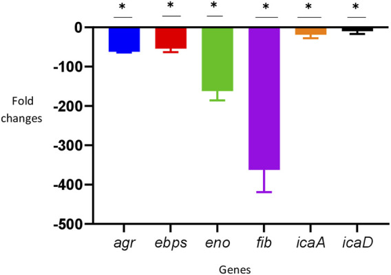 FIGURE 3