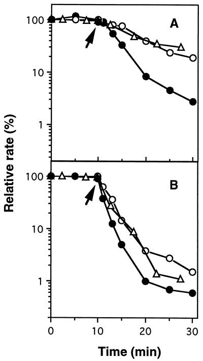 FIG. 6