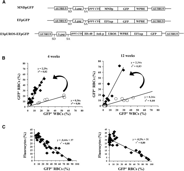 Figure 4