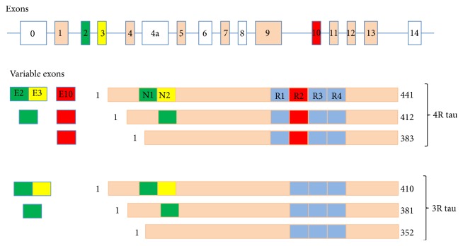 Figure 1