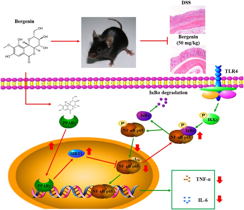 FIGURE 12