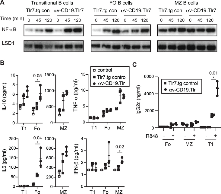 Figure 2: