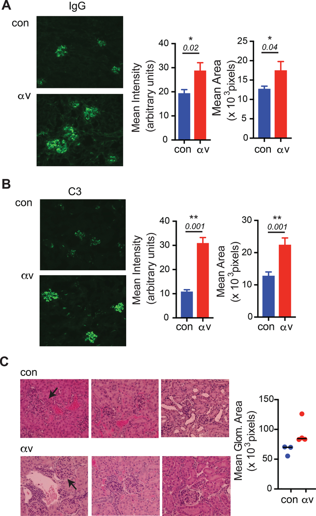 Figure 5: