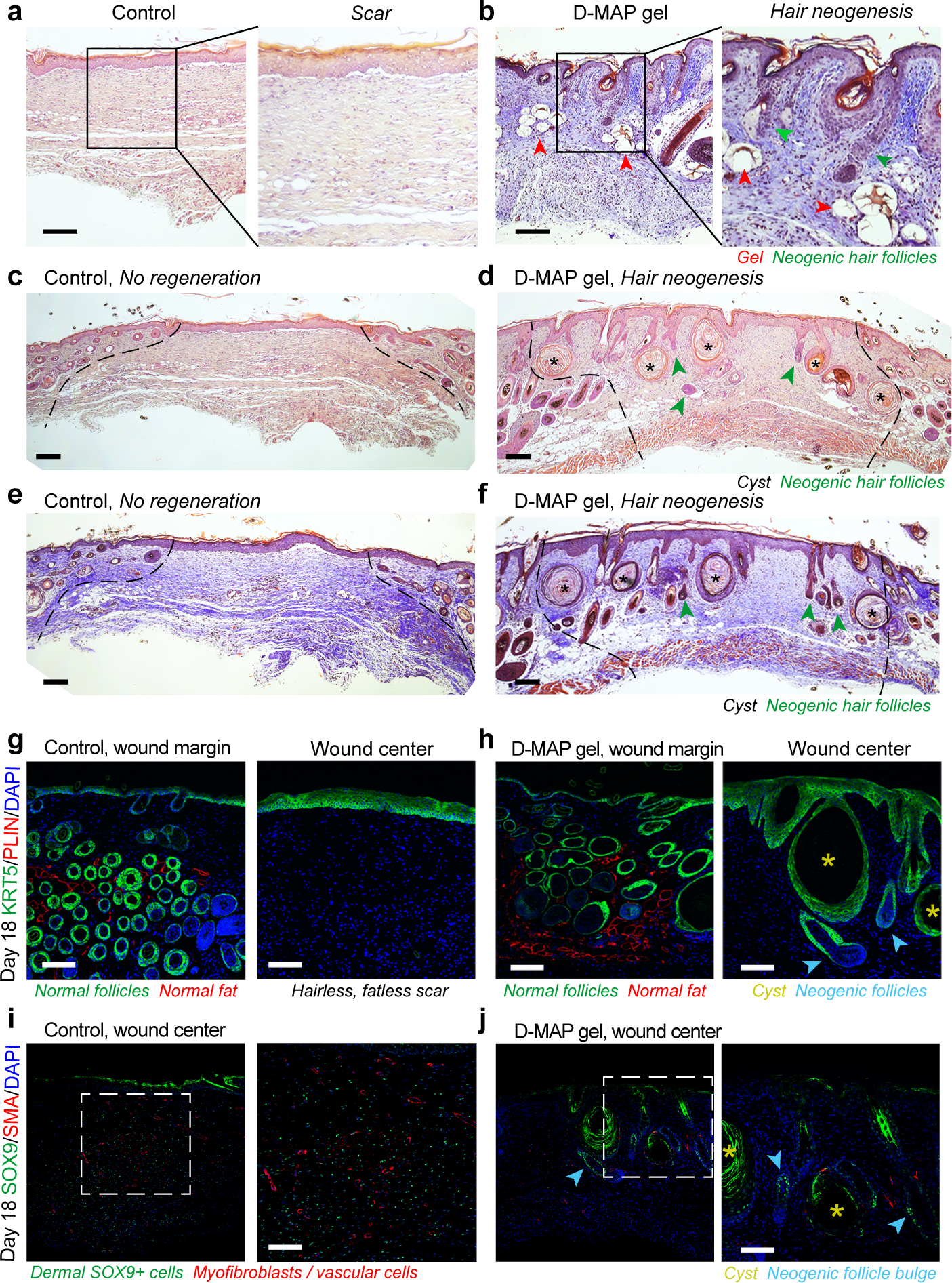 Figure 2: