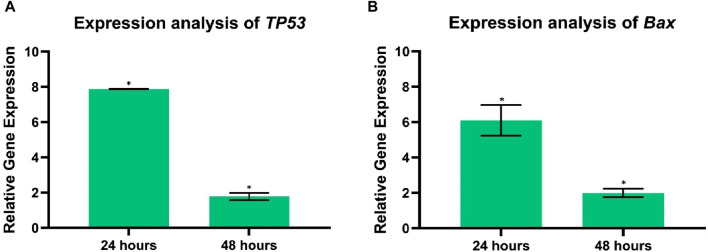 FIGURE 12