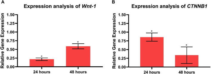 FIGURE 11