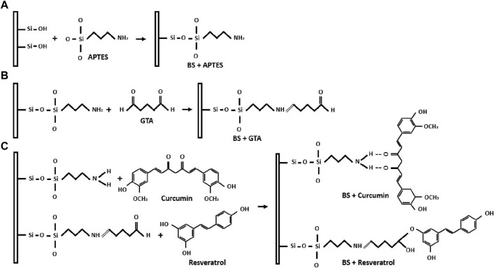 FIGURE 1