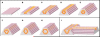 Fig. 3