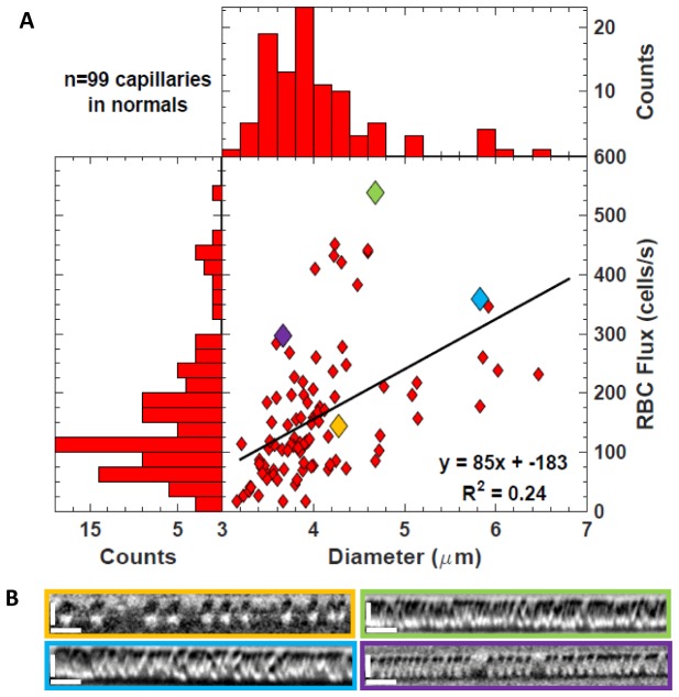 Fig. 10