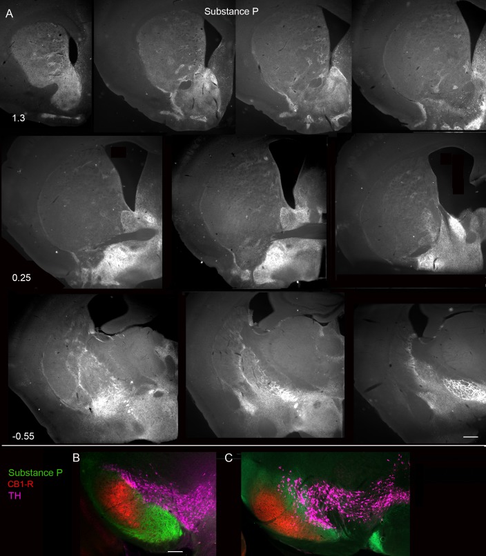 Fig 15