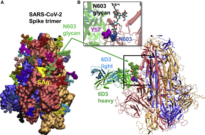 Figure 3