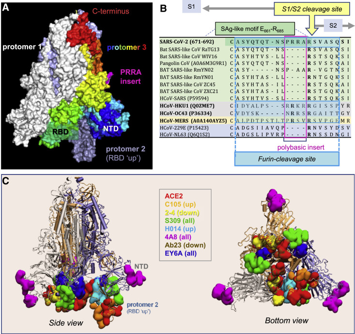 Figure 1