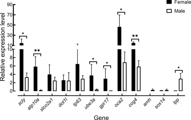 Figure 5