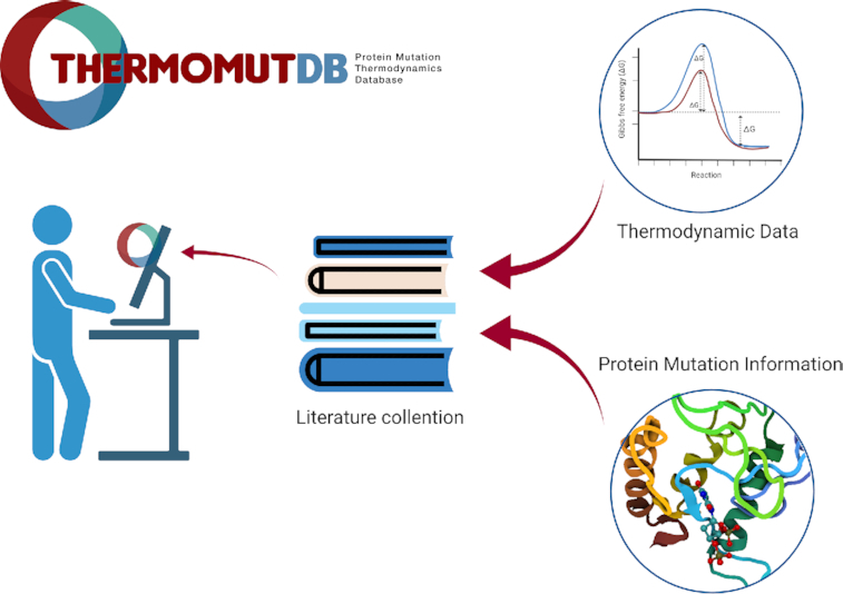 Graphical Abstract