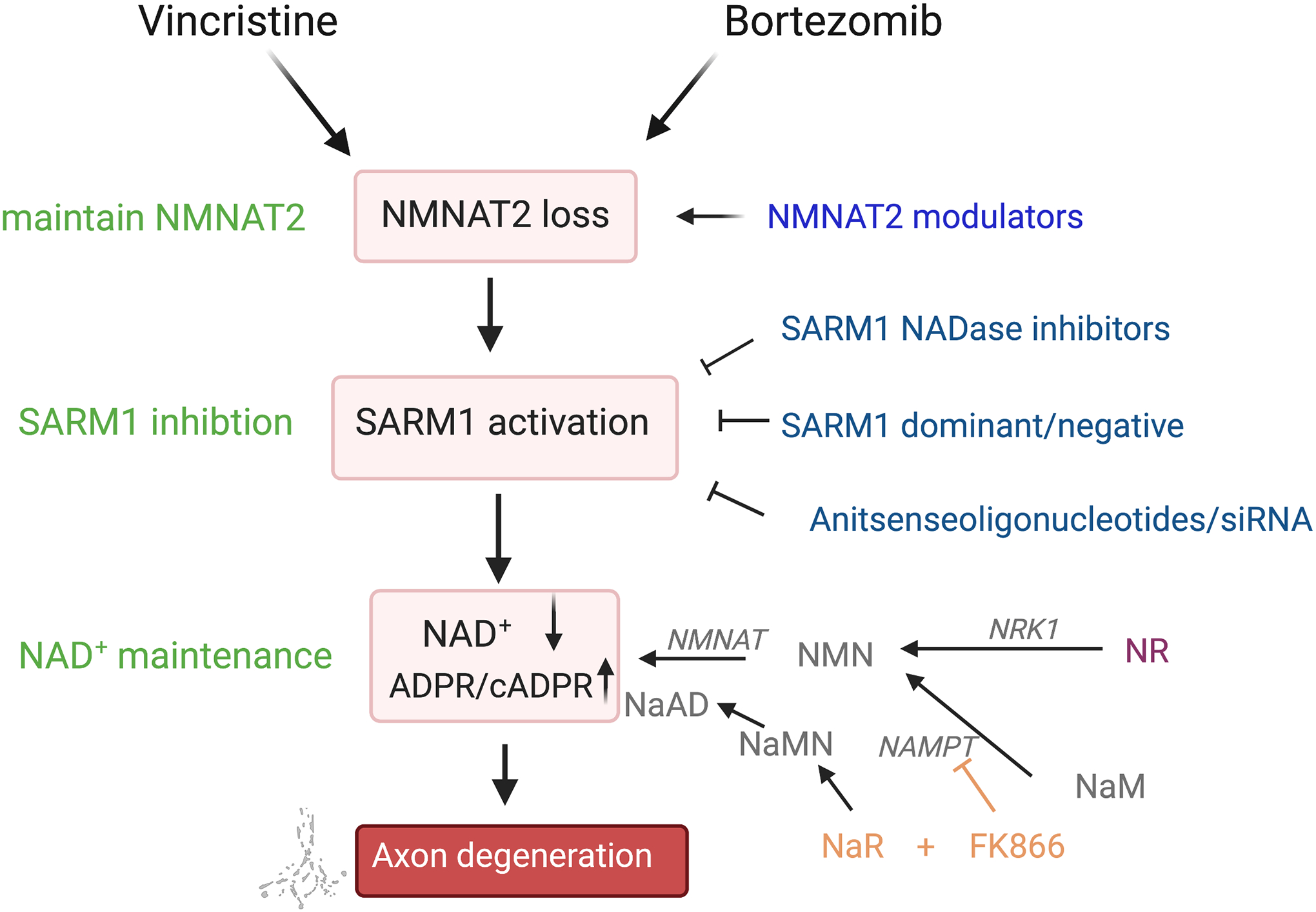 Figure 2: